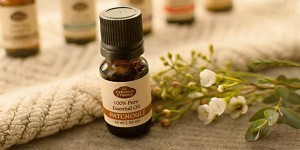 Масло пачули — магнит для денег