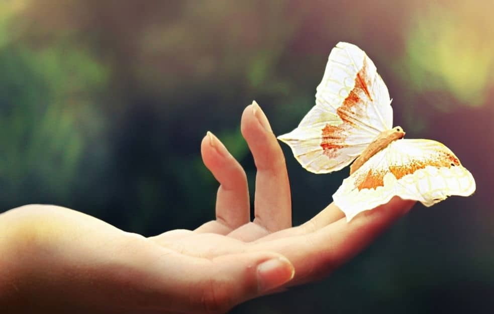 12 способов изменить жизнь, даже если совершенно нет сил 6 Kak izmenit zhizn k luchshemu psihologiya