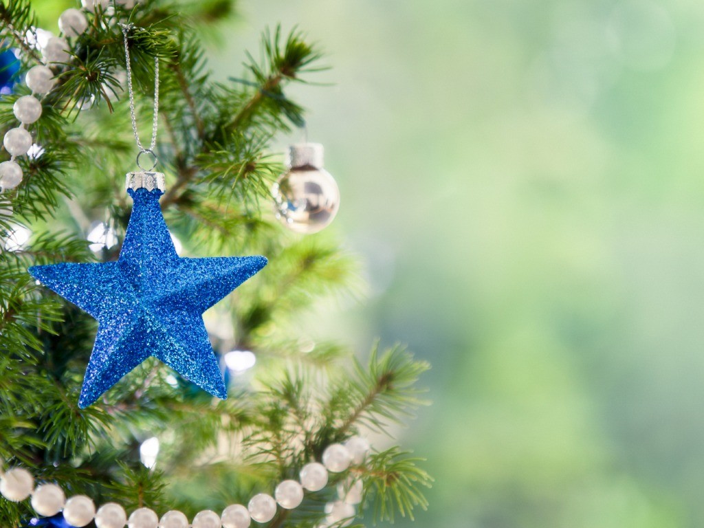 Kuda postavit novogodnyuyu elku po fe n shuj