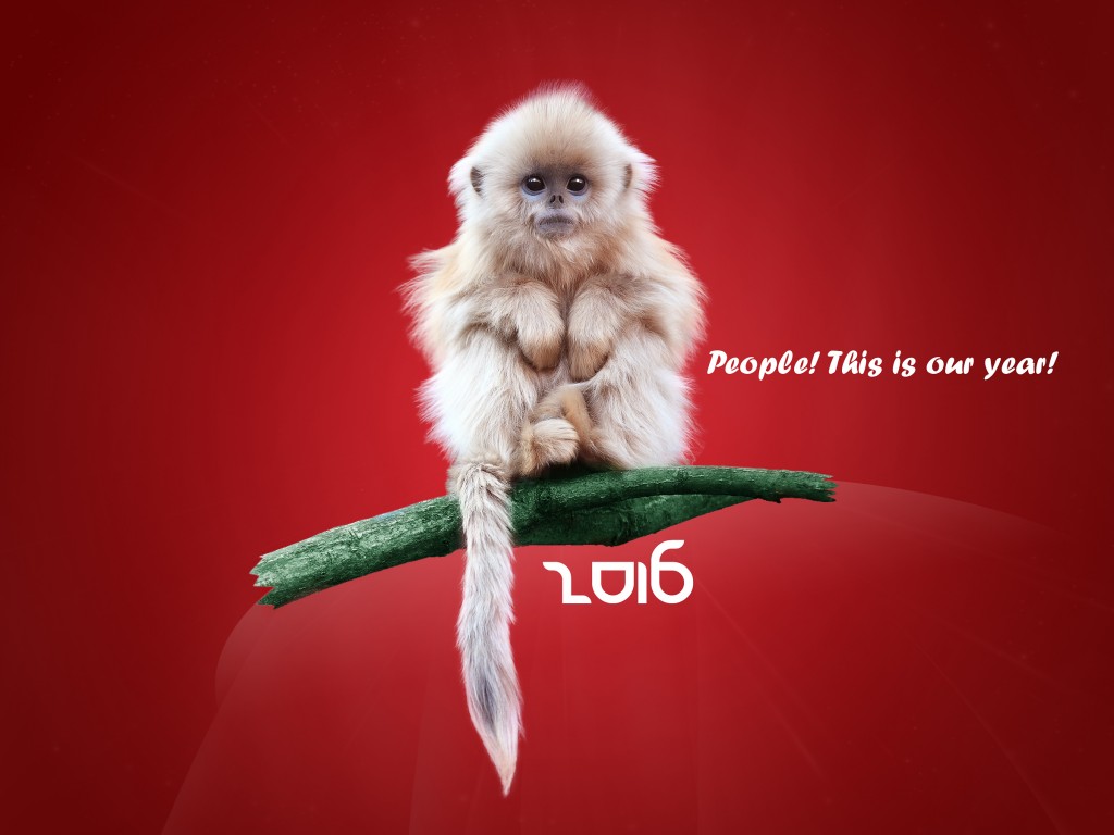 Vstrechaem vesyoly j god Krasnoj Obez yany