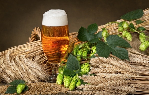 Рецепты масок из пива