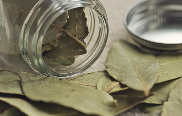 Pol za lavrovogo lista. Lavrovy j list obereg magiya