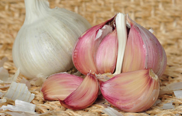 Рецепт маринованного чеснока