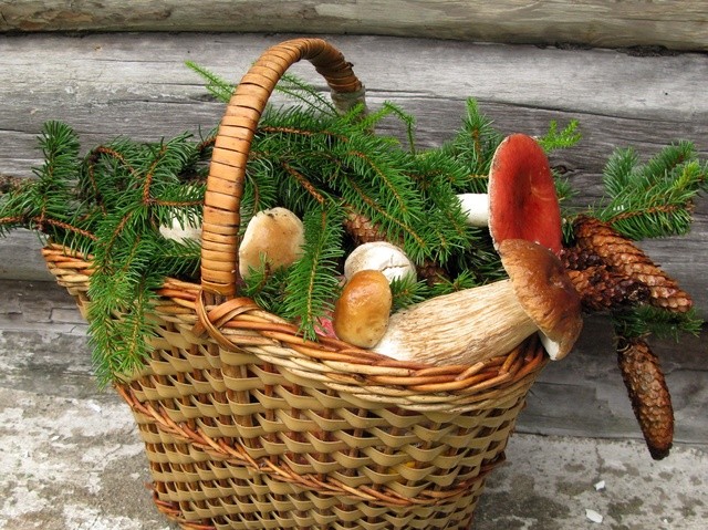 Маринованные вешенки, вкусный простой рецепт