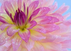 Справочник благовоний