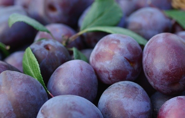 Вкусный рецепт маринованных слив