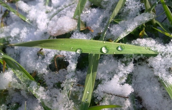 Гороскоп на месяц чего ждать в ноябре 2017 каждом из знаков зодиака