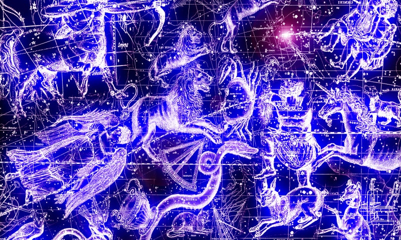 Гороскоп для всех знаков Зодиака на 2022 год Тигра