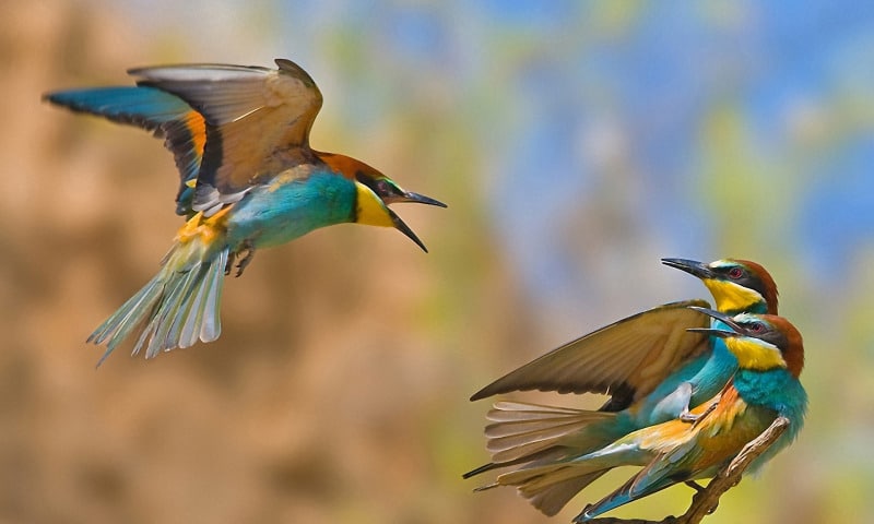 Как простить измену мужа